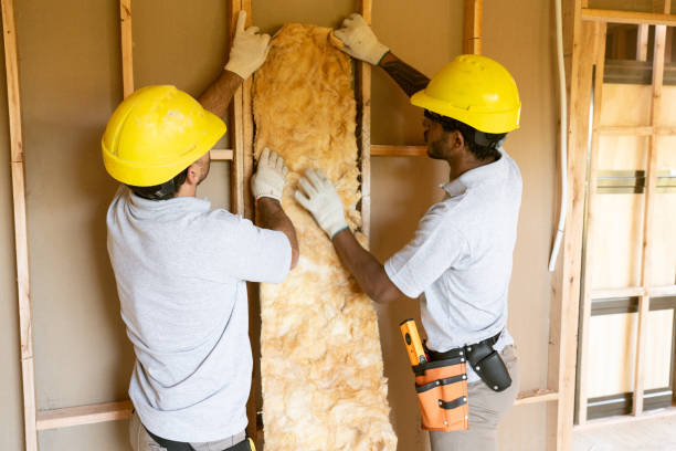 Best Insulation Removal  in Baldwinsville, NY
