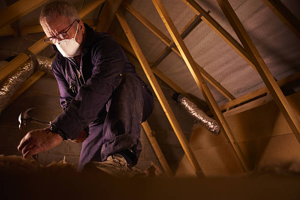 Best Insulation Contractors for Homes  in Baldwinsville, NY